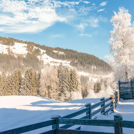 Apartment In Kirchberg Near Ski Slopes, Cleaning Included Apartment